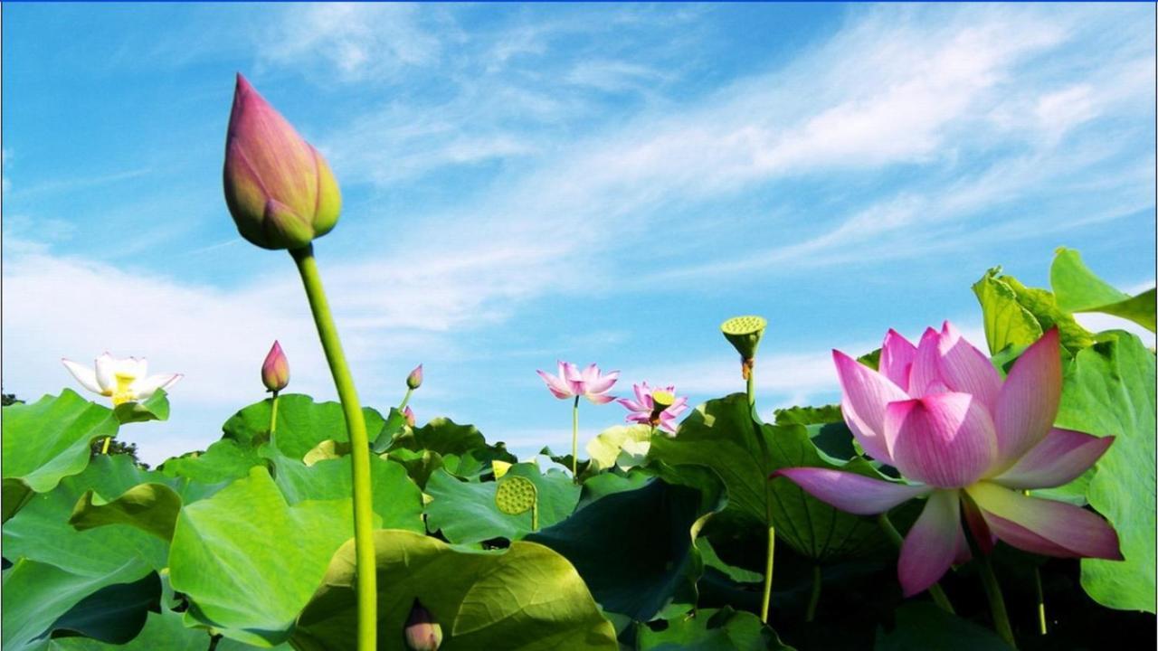 Trang An Retreat Villa Ninh Binh Luaran gambar