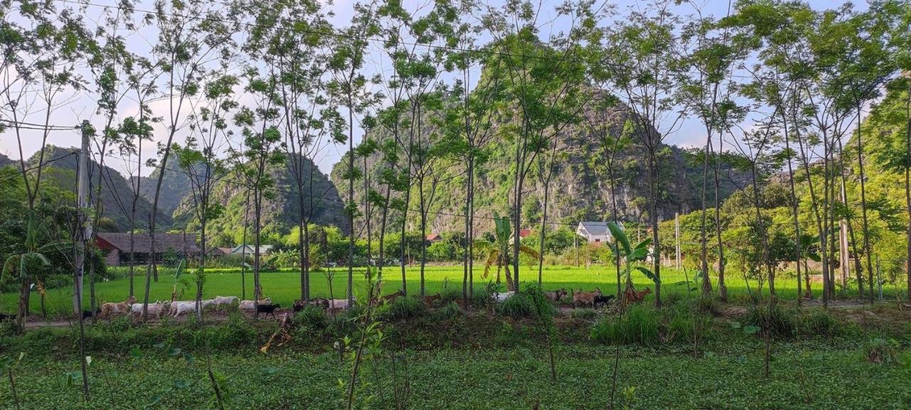 Trang An Retreat Villa Ninh Binh Luaran gambar