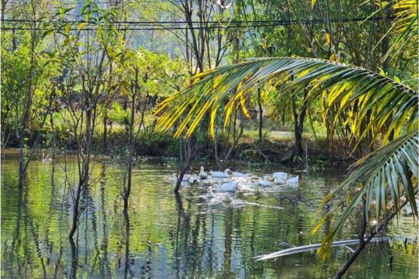 Trang An Retreat Villa Ninh Binh Luaran gambar